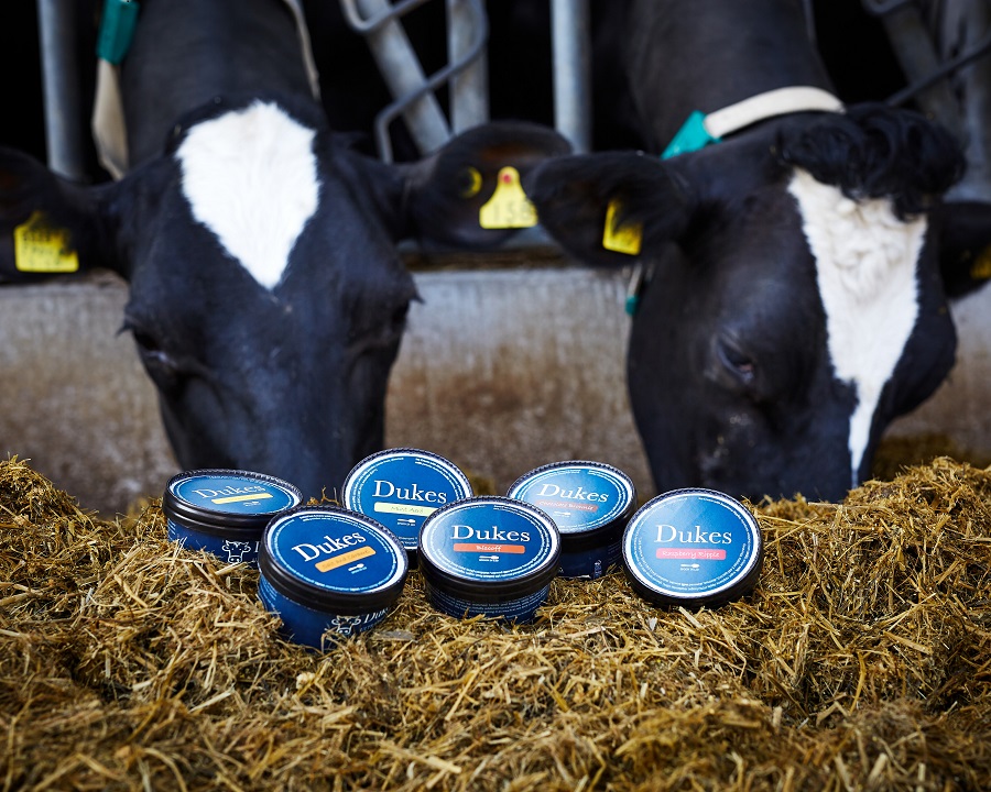  Dukes dairy products placed in front of cows eating