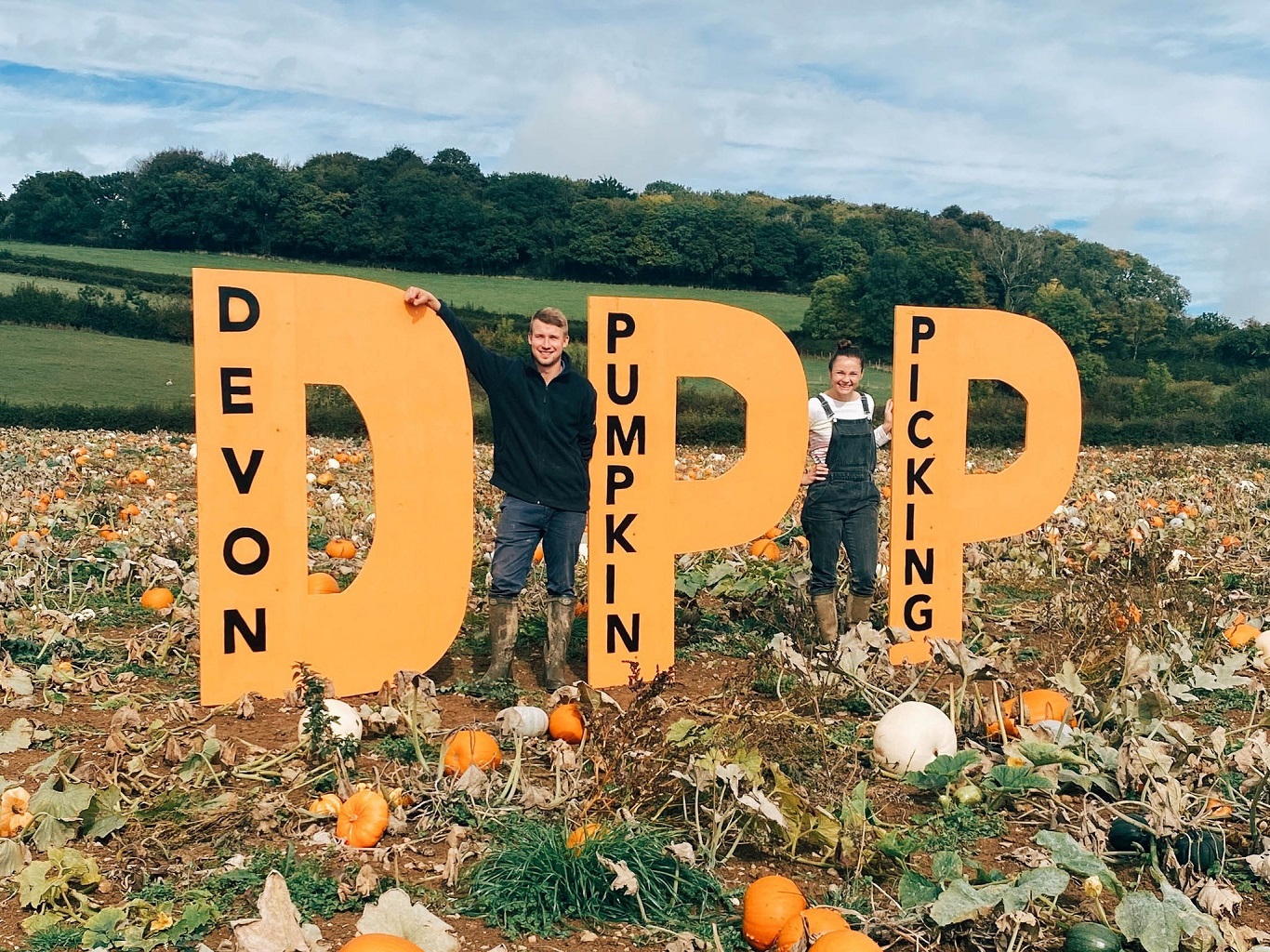 People in a pumpkin field beside large ‘Devon Pumpkin Picking’ letters