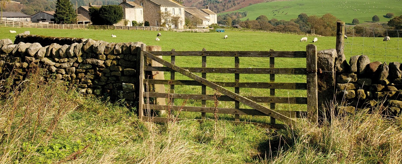 Traditional stone farmhouse and barns overlooking green pastureland, with sheep grazing behind a wooden field gate and dry stone wall in the foreground.