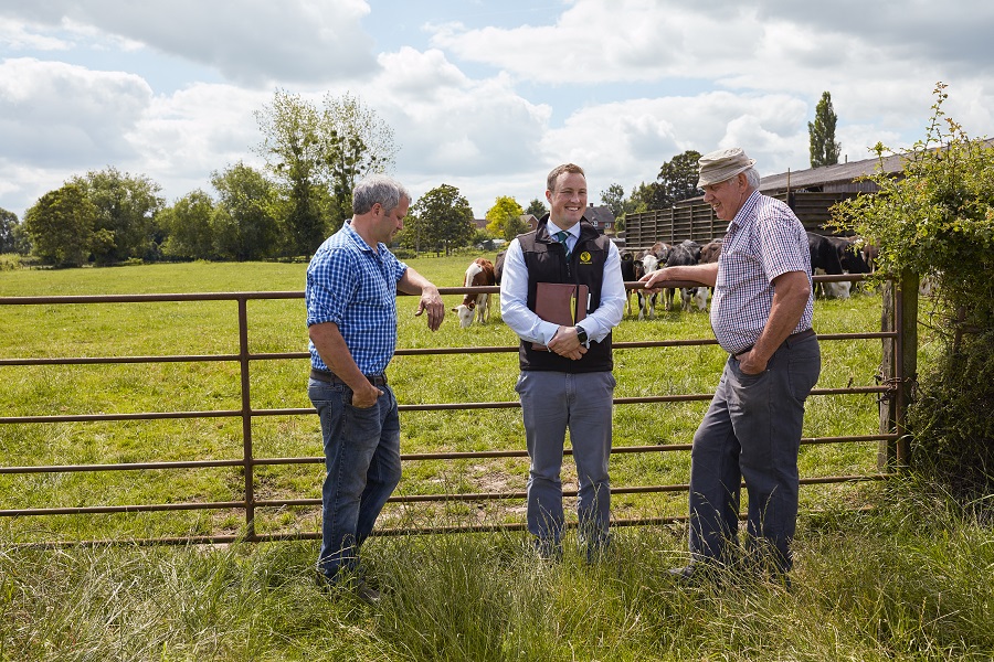 NFU Mutual adviser in branded vest speaking with two farmers by a metal farm gate, with cattle grazing in a sunny rural field behind them.