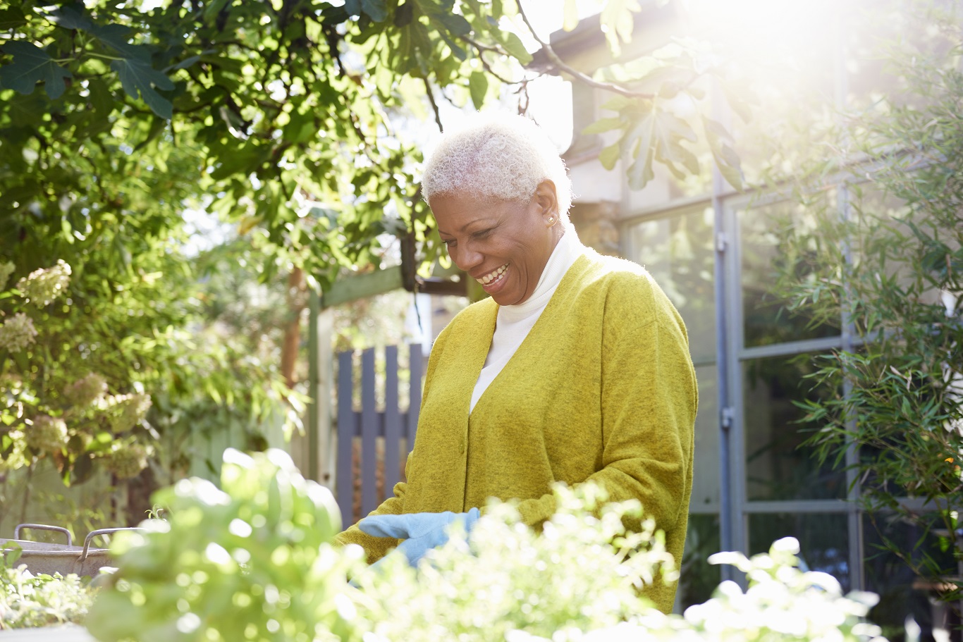 Smiling woman gardening in a sunlit backyard, wearing gloves and a mustard cardigan, surrounded by lush green plants and a garden shed in the background.