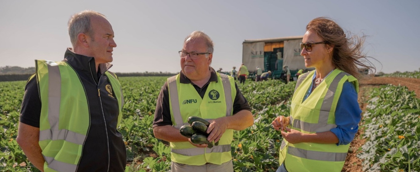 Three NFU Mutual representatives in high-visibility vests talking with a farmer in a vegetable field, holding freshly harvested courgettes, with farm workers and equipment in the background.