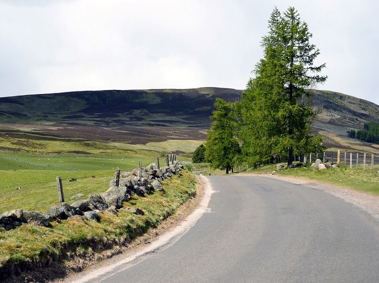 Country road curving through open fields and hills