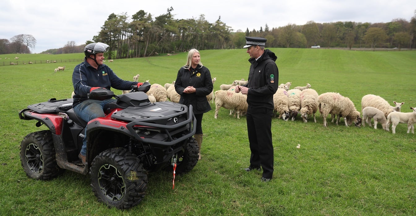 Three people stand in a field with a flock of sheep; one person sits on an All‑Terrain Vehicle while the others talk nearby.