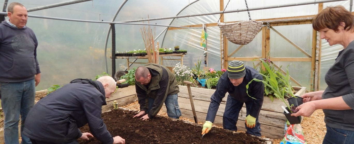 Group of people tending a plant bed in a polytunnel