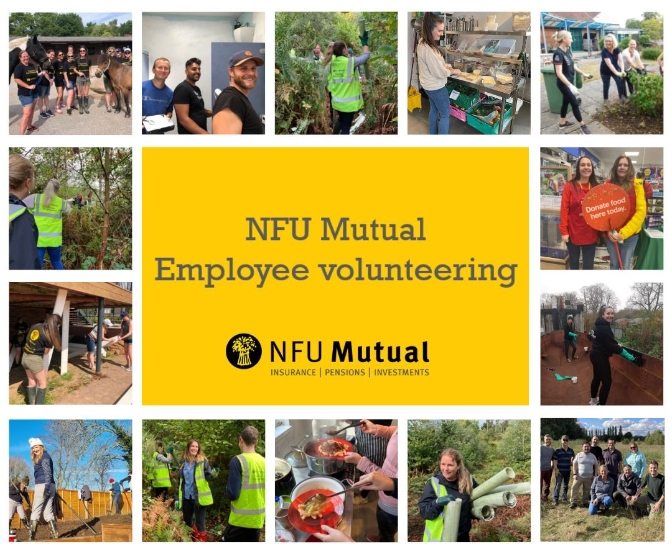 Montage of employees volunteering.